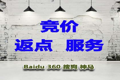 SEM运营公司经典案例点评